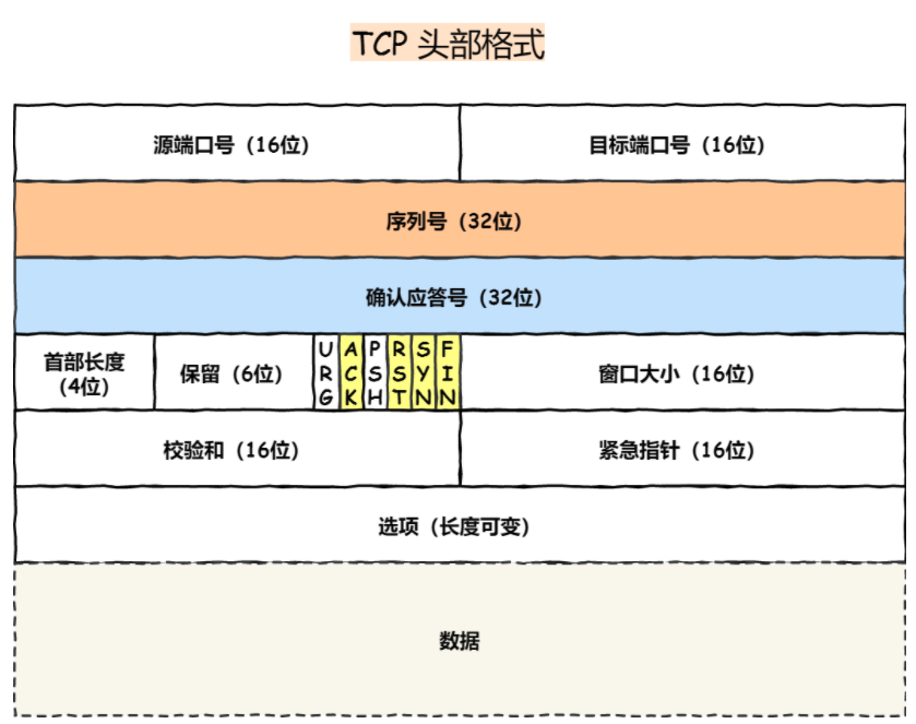 tcp头部